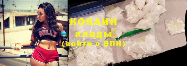 таблы Няндома