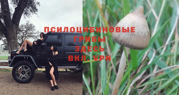 первитин Нягань