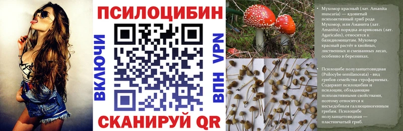 хочу наркоту  Чехов  Галлюциногенные грибы Magic Shrooms 